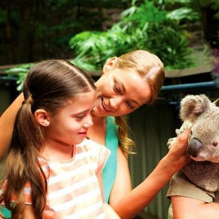 澳大利亚·奥妙无穷，欢乐家庭时光11日